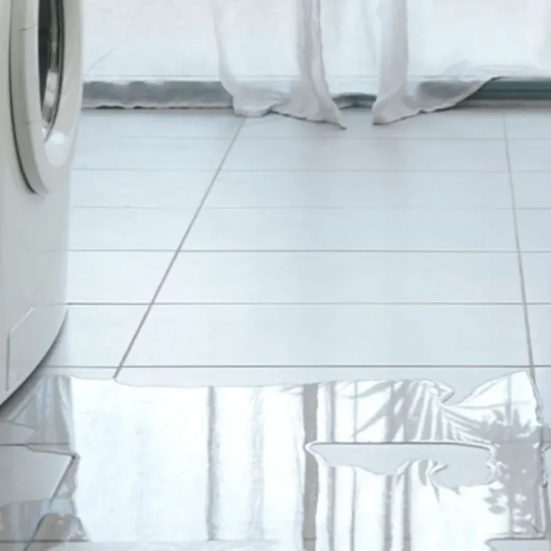 Appliance Leak Cleanup in Janesville, CA